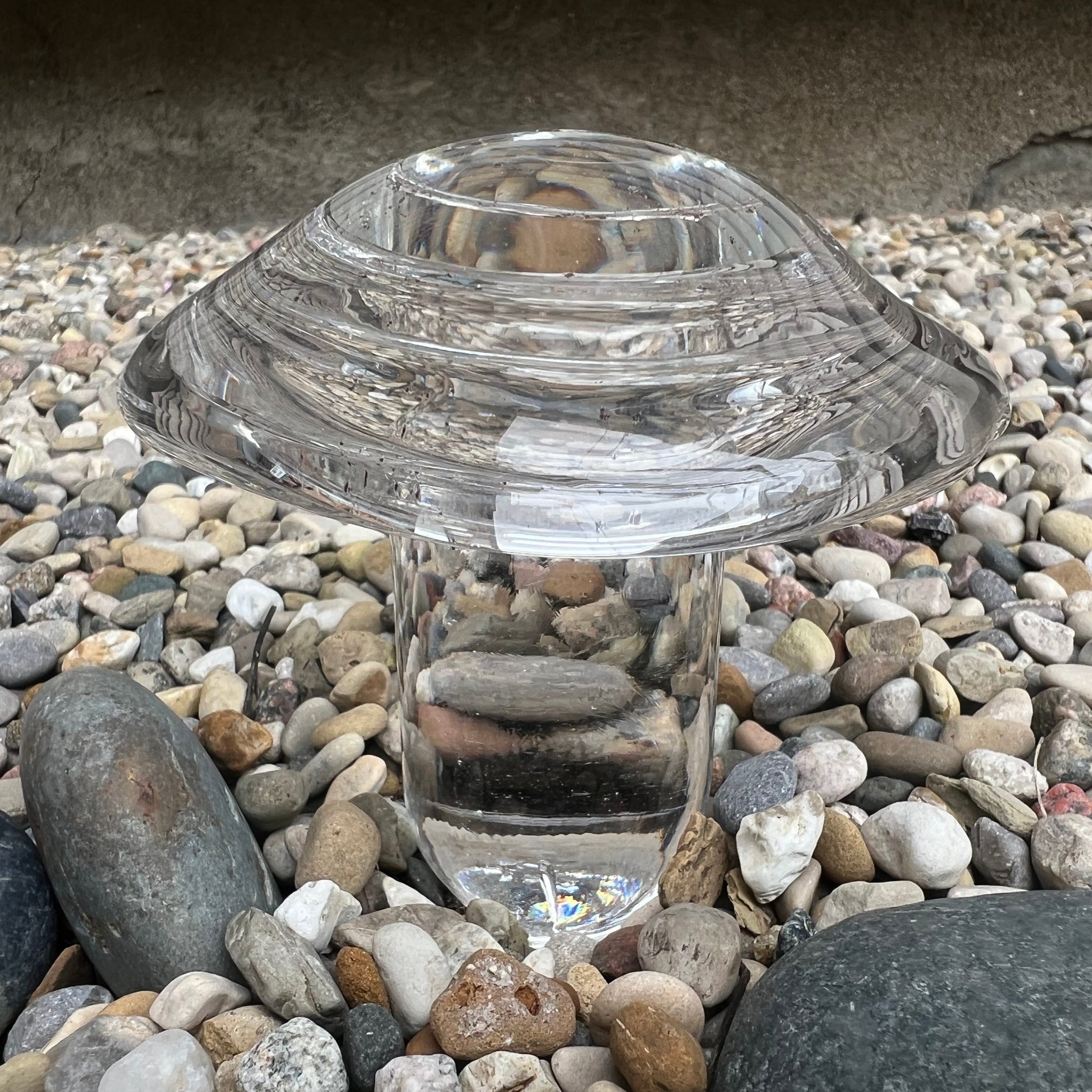 Glass Experience! Blown Glass Mushrooms - May 18