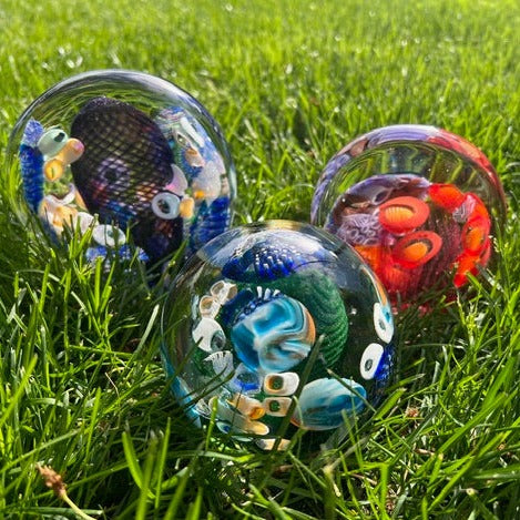 Glass Experience! Murrine Blown Glass Paperweight - August 17