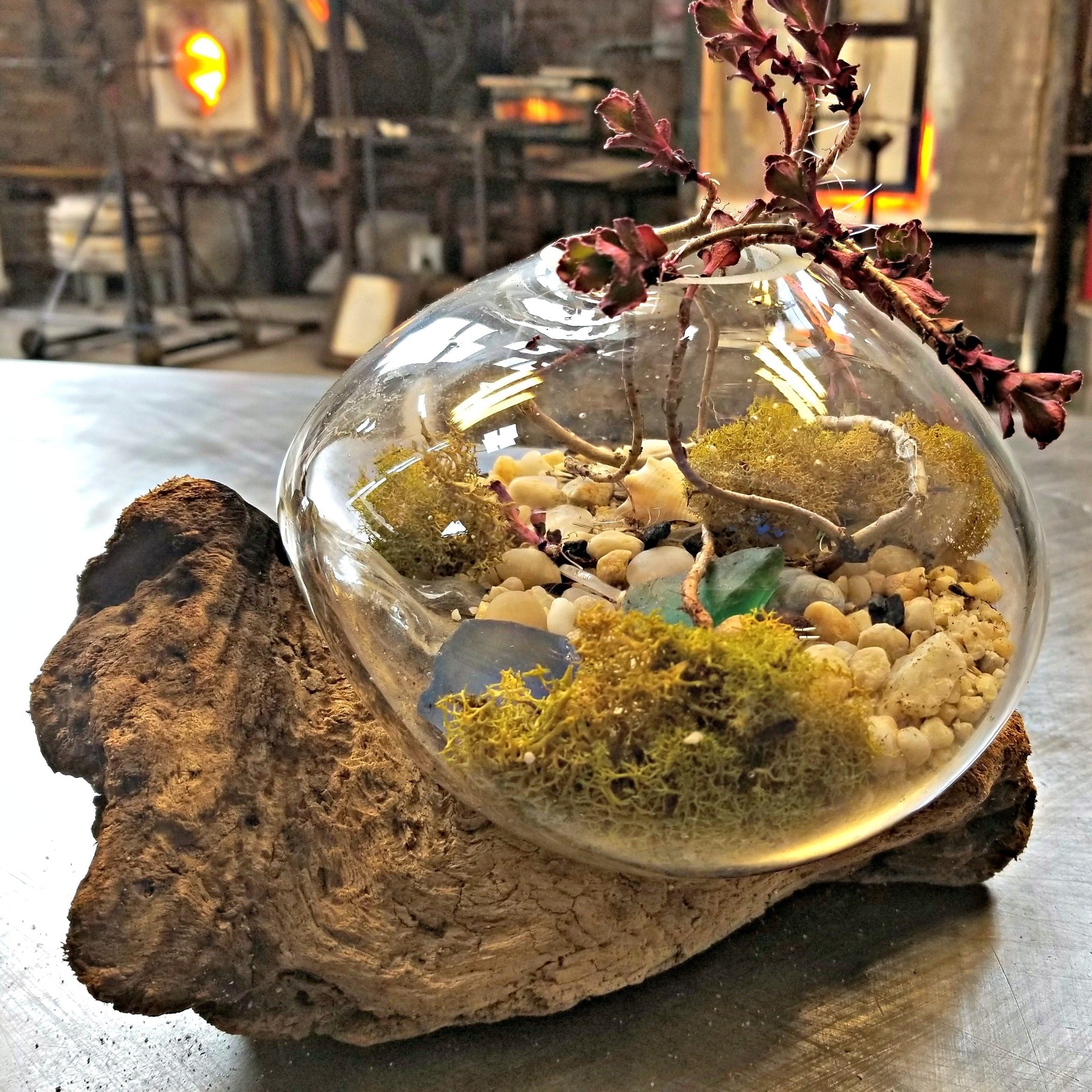 Glass Experience! Blown Glass Terrariums - January 28