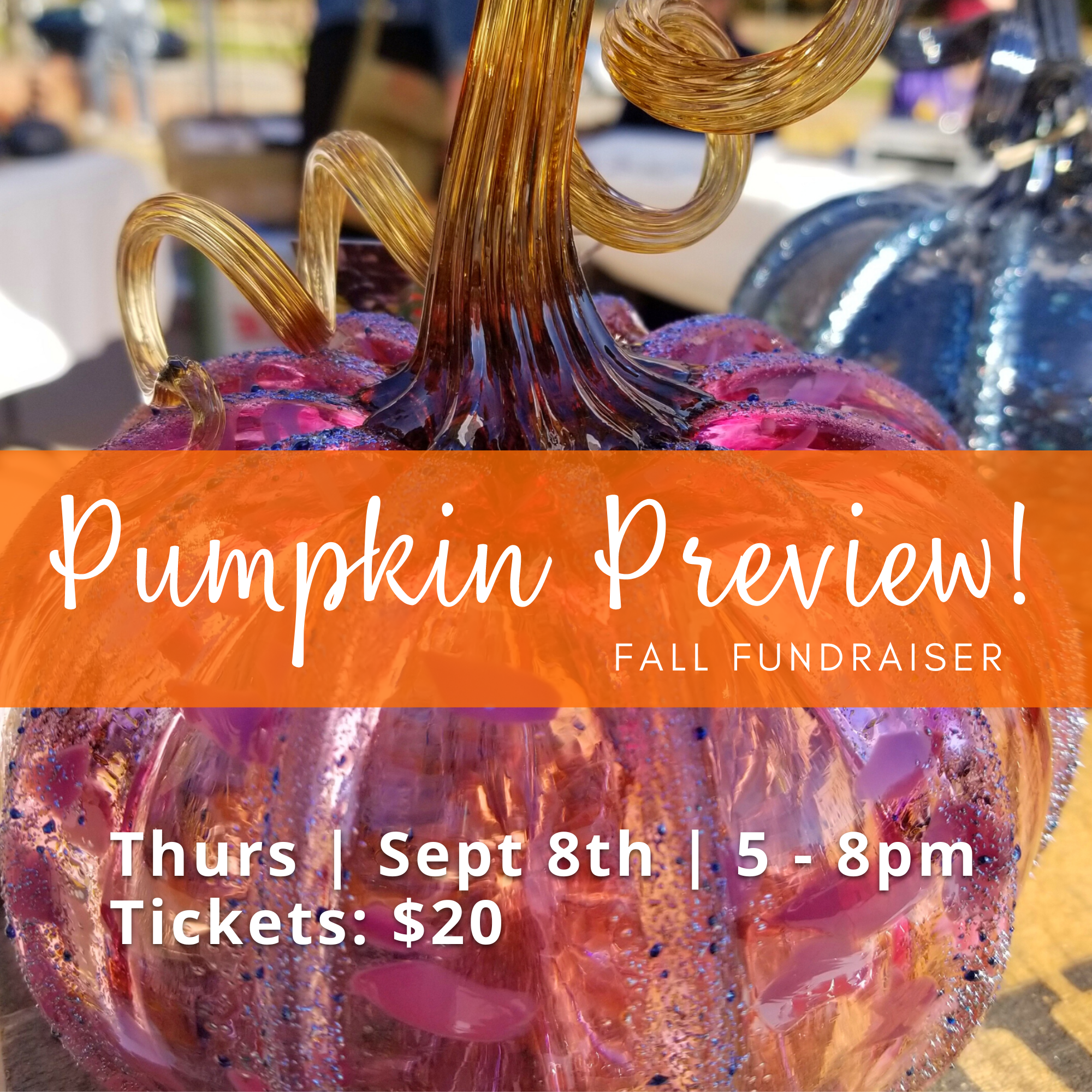 PUMPKIN PREVIEW! Fall Fundraiser