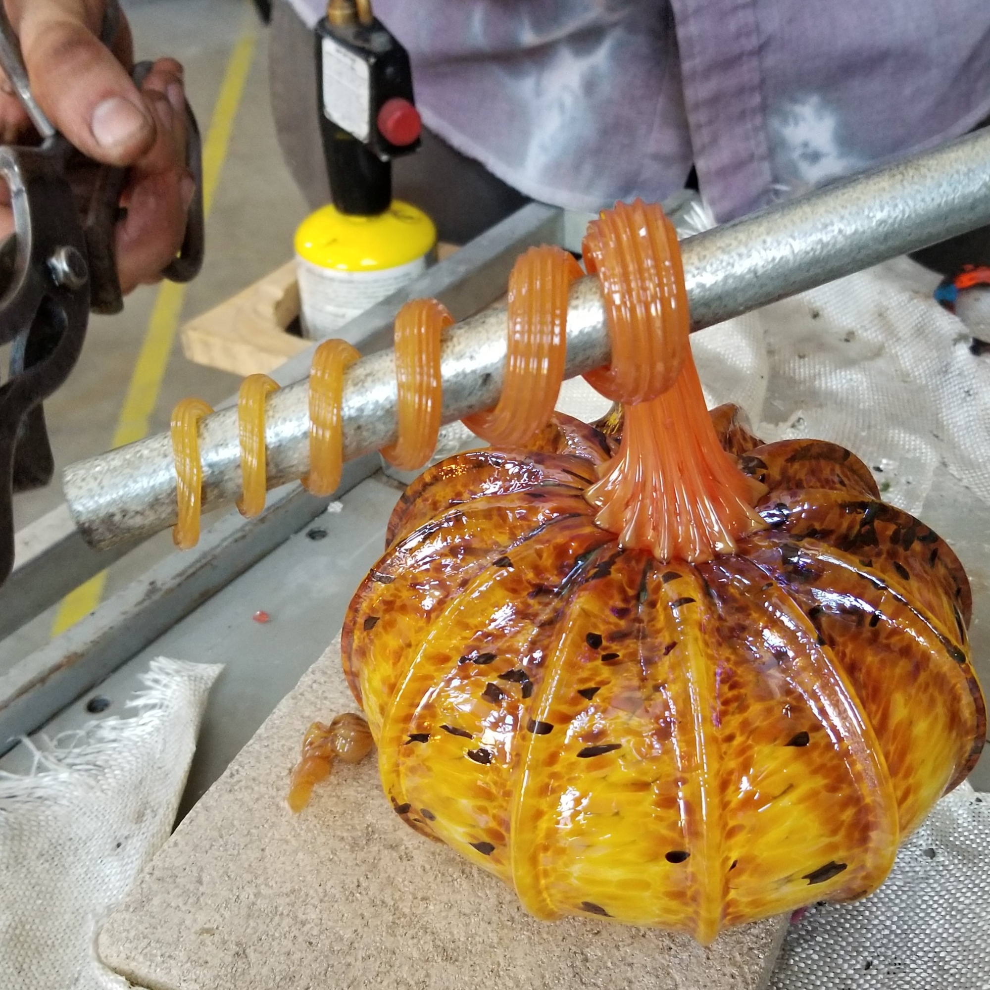 Fall Harvest: Make your own Pumpkin - Sunday, Nov 13