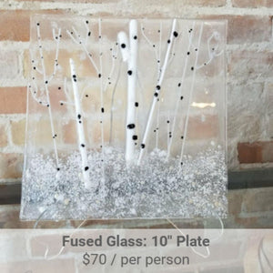 Fused Glass Plate Project