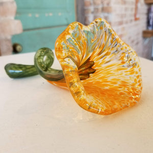 Pulled Flower: Glass Experience: Sunday, March 5