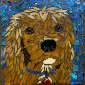 Mosaic Pet Portrait Class with Mary Alexander